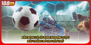 Kèo Rung Là Gì? Kinh Nghiệm Cược Đâu Thắng Đó Cho Tân Thủ