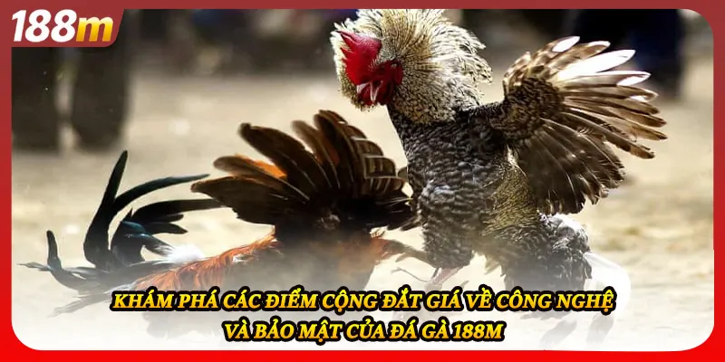 Khám phá các điểm cộng đắt giá về công nghệ và bảo mật của đá gà 188M